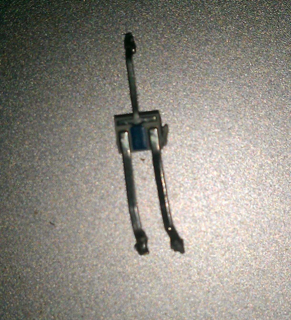 IMAG0758.jpg